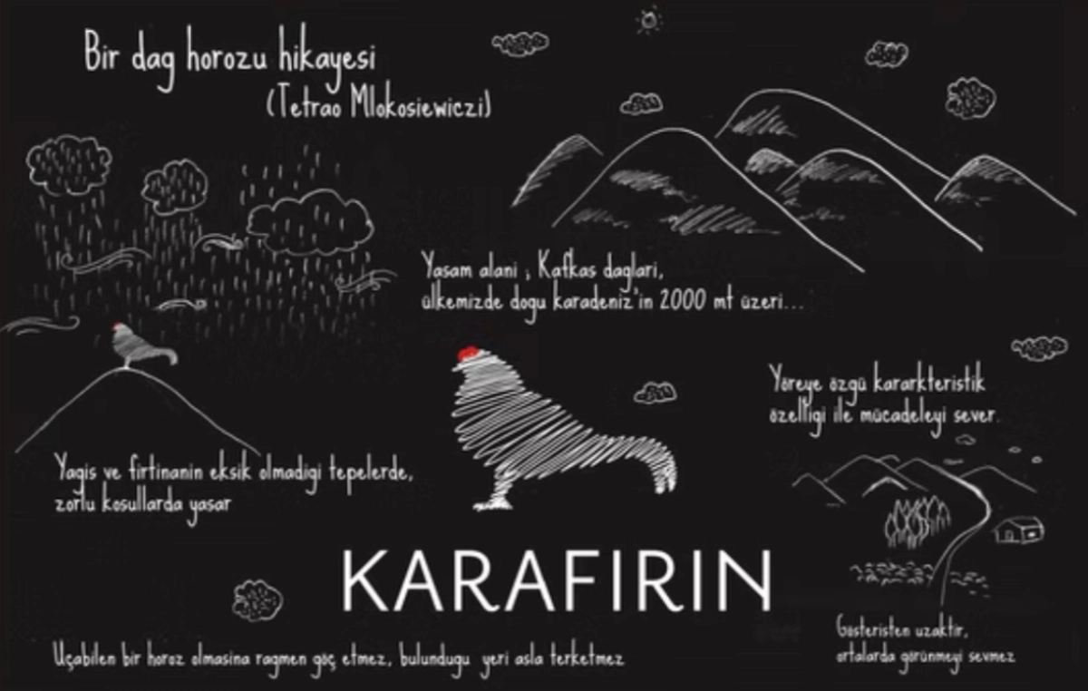 KARAFIRIN — project image 2