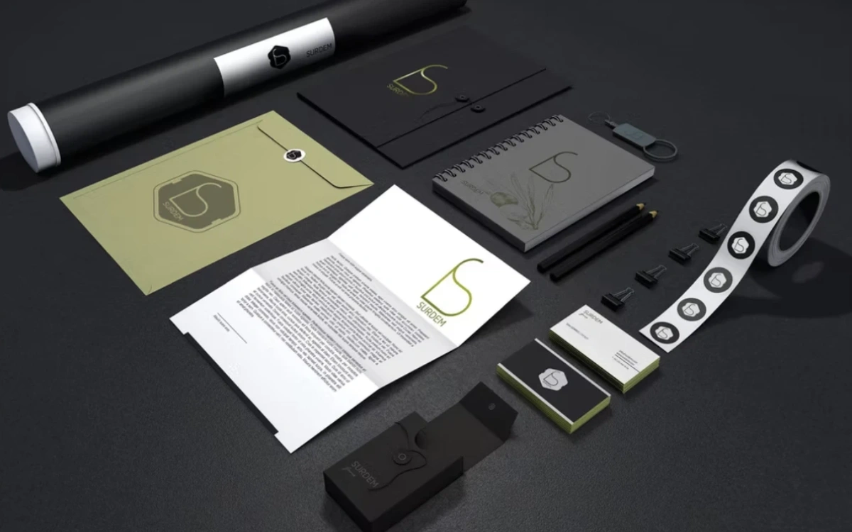 Surdem Group — A corporate identity built on clarity and credibility